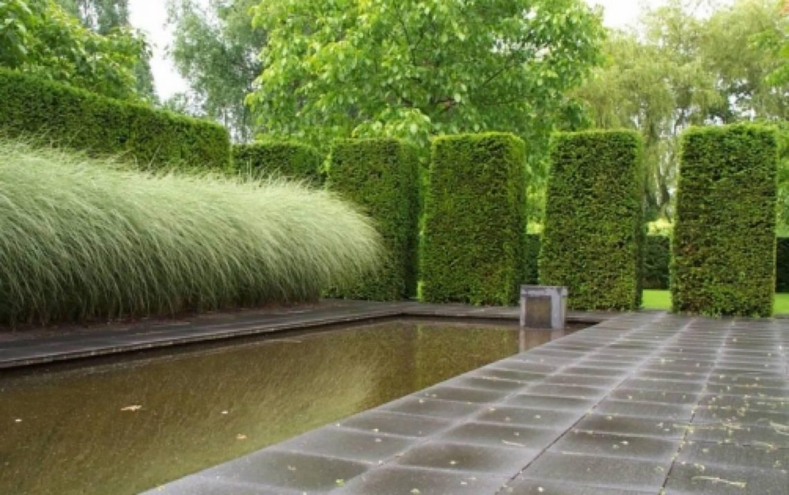 Terrastegels